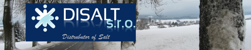 Primary Raster logo